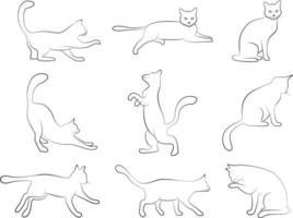cat pose outline set by vector design