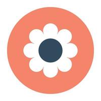 Trendy Amaryllis Concepts vector