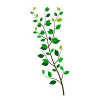rama de árbol con dibujos animados de hojas verdes vector