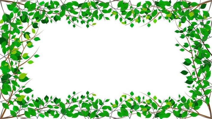 Tree branches with green leaves border frame isolated white background