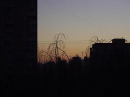 Residential new buildings at daybreak in the city photo