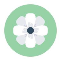 Trendy Amaryllis Concepts vector