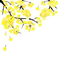 yellow flower tree, golden trumpet flower vector