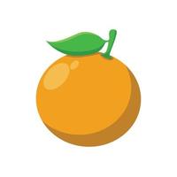 orange fruits vector