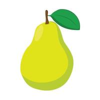 vector of a pear fruit