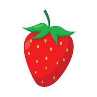 strawberry fruits vector