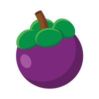 mangosteen fruits vector