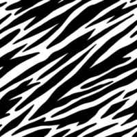 Wild Zebra Animal Skin Seamless Pattern vector