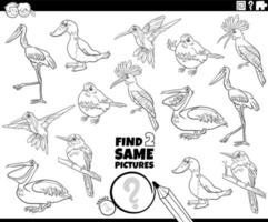 encontrar la misma tarea de pájaros de dibujos animados para colorear la página del libro vector
