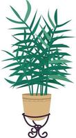 Parlor palm in pot semi flat color vector object