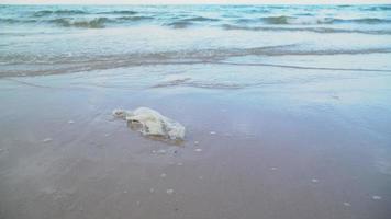 Weggeworfene Plastiktüte am Strand verursacht Umweltprobleme