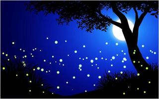 Fireflies and Tree Silhouette Scene vector