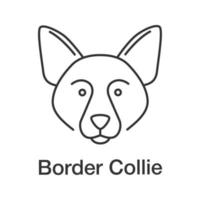 icono lineal de border collie vector