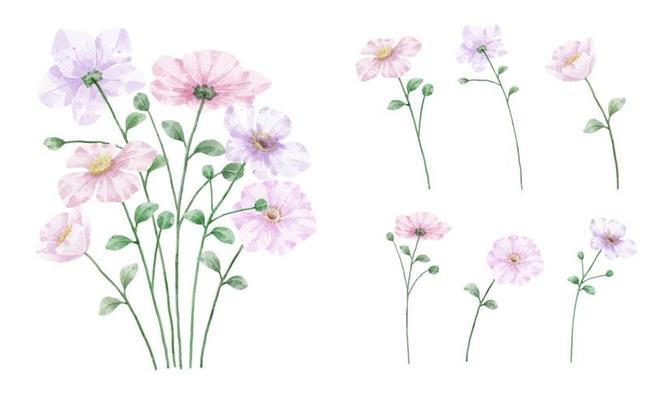 A set of flowers painted in watercolor for designer work create