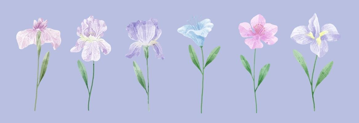 A set of flowers painted in watercolor for designer work create