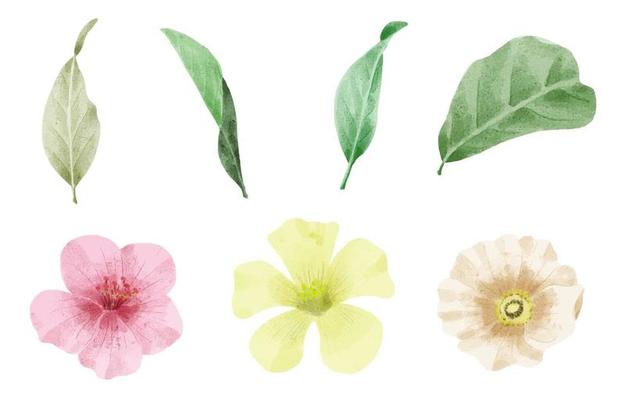 A set of flowers painted in watercolor for designer work create