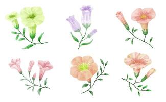 un conjunto de flores pintadas en acuarela para crear un trabajo de diseñador vector