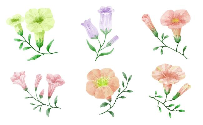 A set of flowers painted in watercolor for designer work create