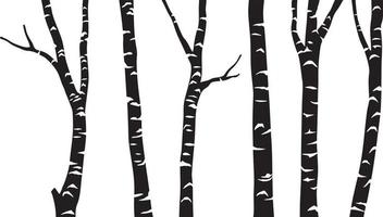 Birch Tree Black vector