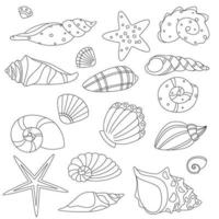 Set Vector Thin Line. Nature Ocean Shell For Shellfish, Aquatic Decorative Seashell Monochrome Contour Illustrations