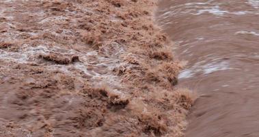 close-up van een boze rivier die stroomt na hevige regenval en overstromingen in de stad veroorzaakt. kracht van de natuur. klimaatverandering is echt. gevolgen van verstoring van het milieu. video