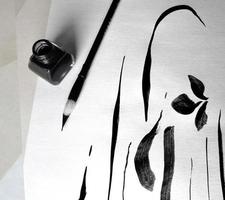 The lines is drawn using black ink and a brush for calligraphy on white photo