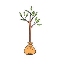 árbol de plántulas dibujado a mano en estilo garabato. vector, minimalismo, escandinavo, dibujos animados. jardinería, planta joven, plantación. pegatina, icono, decoración. vector