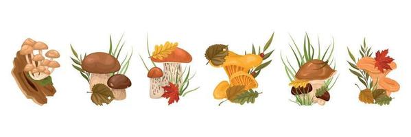 Forest Mushrooms With Leaves Cartoon Set vector