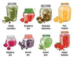 Homemade Canned Fruits And Vegetables vector