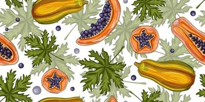 Papaya fruit seamless pattern on white background.Retro tropical plants in engraving style. H vector