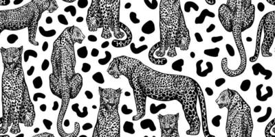 Leopard animal seamless pattern on spotted background. Retro savannah animals in engraving style. vector