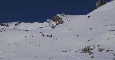 alpinisti che camminano, fanno escursioni in una giornata di sole invernale per raggiungere la vetta della montagna. viaggiare e entrare in contatto con la natura. spedizione per raggiungere la vetta della montagna, in alto. camminare sulla neve profonda. video