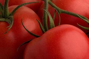 A branch of red ripe fresh tomatoes close-up. photo