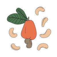 Set of hand drawn cashew nuts vector