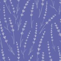 Seamless pattern with lavender flowers vector