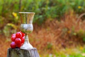 copa de vino y uvas festividades judías foto