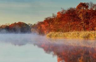 niebla sobre el río en el bosque en otoño foto