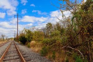View of the railway receding into the distance through the trees. photo