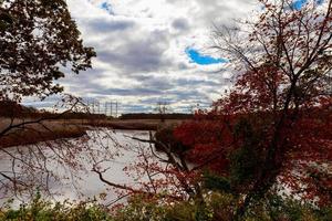 autumn landscape of river and trees without leaves blue sky clouds on a sunny day photo