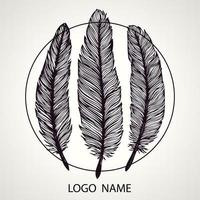 Hand drawn feathers vector