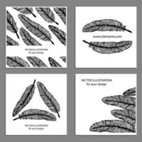 Hand drawn feathers set vector