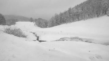 córrego do rio e neve caindo. área de montanha durante a temporada de inverno. árvores cobertas de neve. ventos fortes e nevascas. video