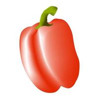 paprika fruit vector