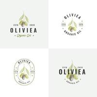 colección de logotipos de insignias vintage de oliva dibujadas a mano vector