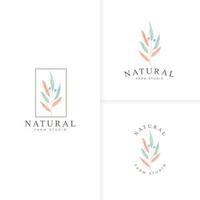 Beautiful hand drawn botanical logo collection vector