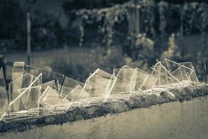 Dangerous wall with broken glass shards Playa del Carmen Mexico. photo