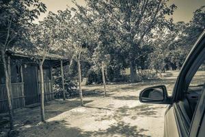 Driving on gravel path road in Tulum jungle nature Mexico. photo