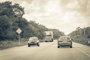 conduciendo por la autopista autopista en la naturaleza tropical de la selva méxico. foto