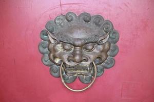 carved lion head face on the door photo