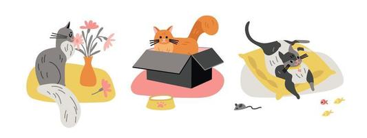 conjunto de composiciones de gatos encantadores vector